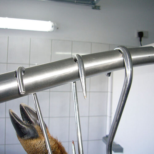 Mannser-Wildgalgen